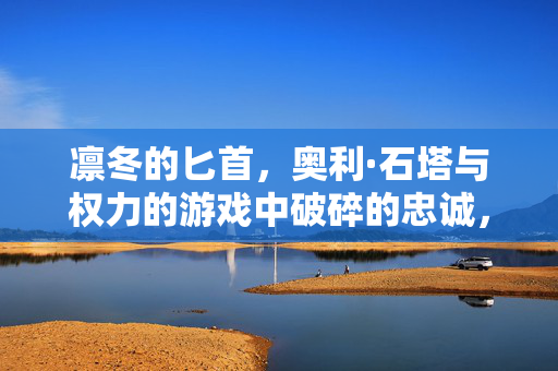 凛冬的匕首，奥利·石塔与权力的游戏中破碎的忠诚，凛冬的匕首，奥利·石塔与权力的游戏破碎的忠诚