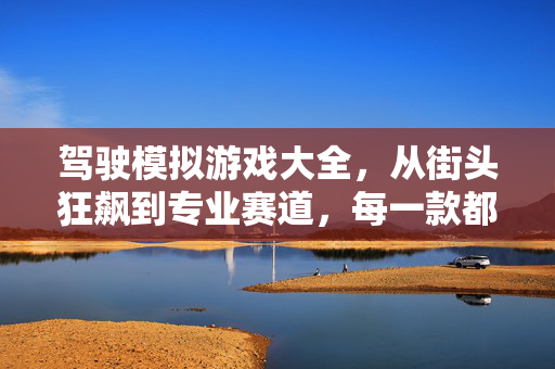 驾驶模拟游戏大全，从街头狂飙到专业赛道，每一款都是速度与激情的极致体验，驾驶模拟游戏大全，街头狂飙到专业赛道，速度与激情极致体验