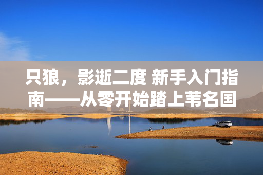 只狼，影逝二度 新手入门指南——从零开始踏上苇名国的征程，只狼，影逝二度 新手入门指南——从零踏上苇名征程