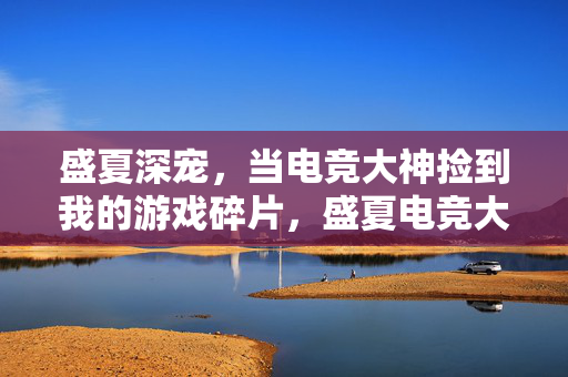 盛夏深宠，当电竞大神捡到我的游戏碎片，盛夏电竞大神捡到我的游戏碎片