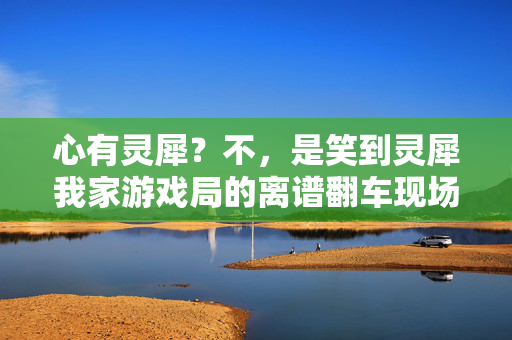 心有灵犀？不，是笑到灵犀我家游戏局的离谱翻车现场！笑到灵犀！我家游戏局的离谱翻车现场
