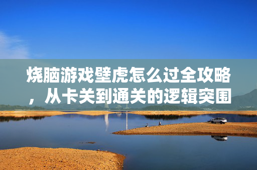 烧脑游戏壁虎怎么过全攻略，从卡关到通关的逻辑突围