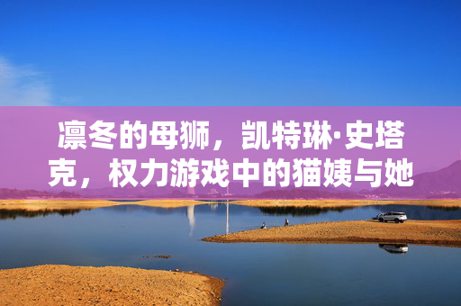 凛冬的母狮，凯特琳·史塔克，权力游戏中的猫姨与她的悲歌，凛冬母狮的悲歌，权力游戏中的凯特琳·史塔克