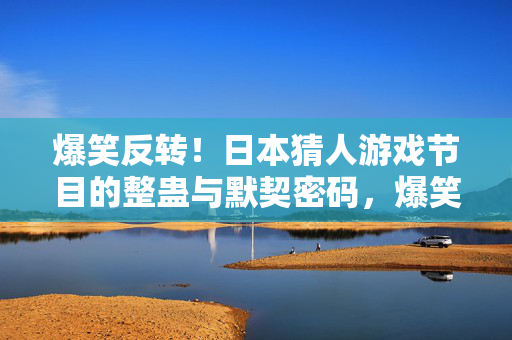 爆笑反转！日本猜人游戏节目的整蛊与默契密码，爆笑反转！日本猜人游戏，整蛊与默契密码