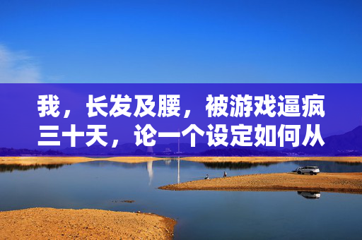 我，长发及腰，被游戏逼疯三十天，论一个设定如何从唯美变成坑爹