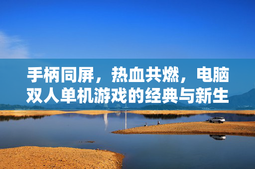 手柄同屏，热血共燃，电脑双人单机游戏的经典与新生，手柄同屏燃热血，电脑双人单机游戏的经典与新生