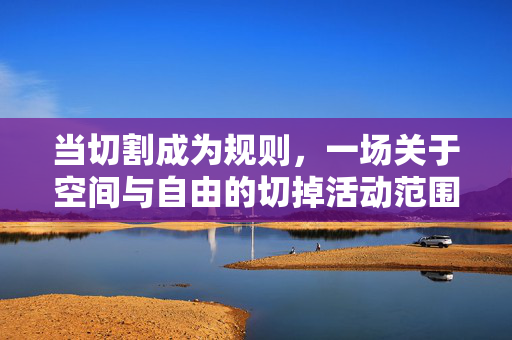 当切割成为规则，一场关于空间与自由的切掉活动范围游戏，切割规则，空间与自由的边界游戏