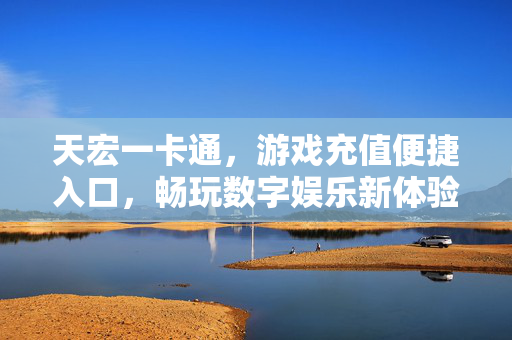 天宏一卡通，游戏充值便捷入口，畅玩数字娱乐新体验，天宏一卡通，游戏充值便捷入口，畅玩数字娱乐新体验