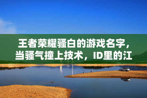 王者荣耀骚白的游戏名字，当骚气撞上技术，ID里的江湖与个性