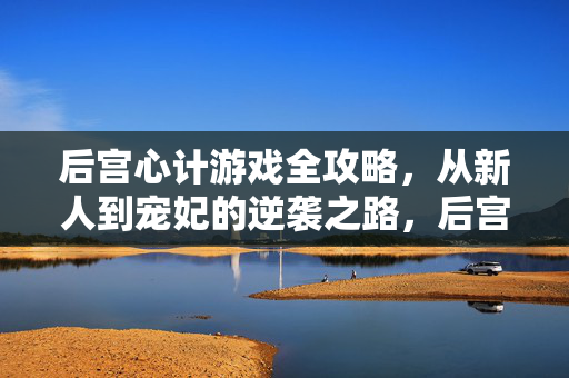 后宫心计游戏全攻略，从新人到宠妃的逆袭之路，后宫心计游戏全攻略，新人逆袭宠妃之路