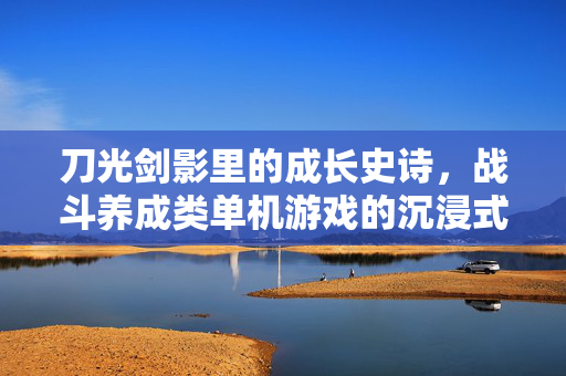刀光剑影里的成长史诗，战斗养成类单机游戏的沉浸式魅力，战斗养成单机，刀光剑影里的沉浸式成长史诗