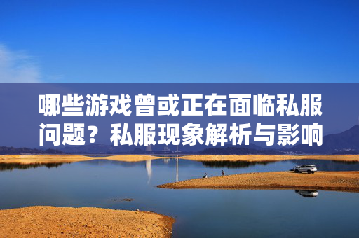哪些游戏曾或正在面临私服问题？私服现象解析与影响，游戏私服问题，现象解析与影响
