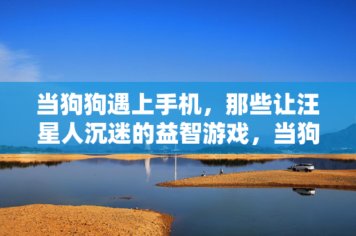 当狗狗遇上手机，那些让汪星人沉迷的益智游戏，当狗狗遇上手机，益智游戏让汪星人沉迷