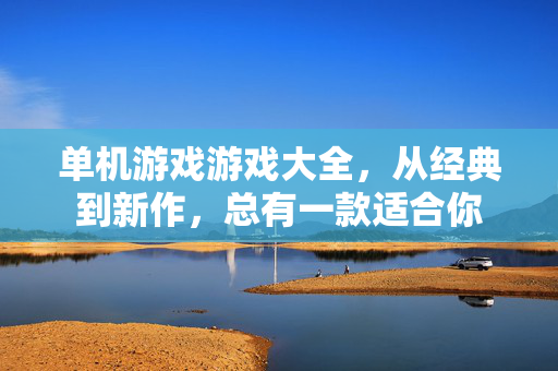 单机游戏游戏大全，从经典到新作，总有一款适合你