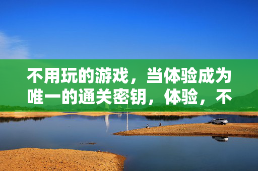 不用玩的游戏，当体验成为唯一的通关密钥，体验，不用玩游戏的通关密钥
