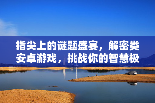 指尖上的谜题盛宴，解密类安卓游戏，挑战你的智慧极限，指尖解密盛宴，智慧极限挑战