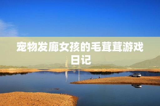 宠物发廊女孩的毛茸茸游戏日记