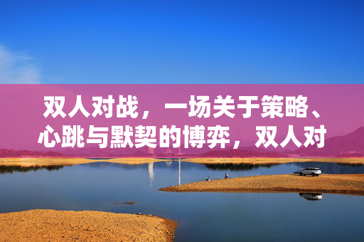 双人对战，一场关于策略、心跳与默契的博弈，双人对战，策略、心跳与默契的博弈