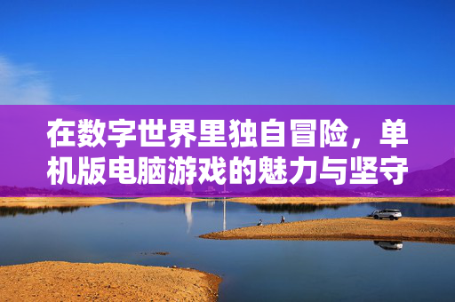 在数字世界里独自冒险，单机版电脑游戏的魅力与坚守