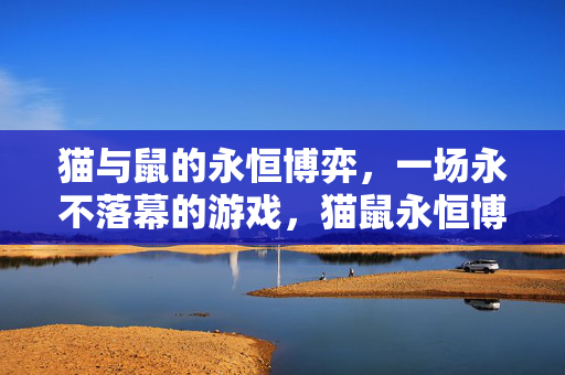 猫与鼠的永恒博弈，一场永不落幕的游戏，猫鼠永恒博弈