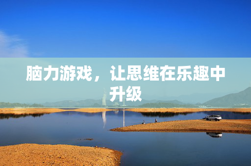 脑力游戏，让思维在乐趣中升级