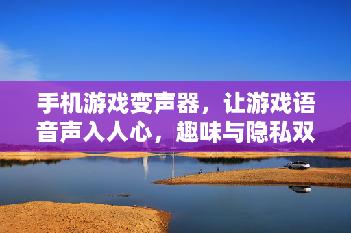 手机游戏变声器，让游戏语音声入人心，趣味与隐私双重守护，手机游戏变声器，声入人心，趣味与隐私双重守护