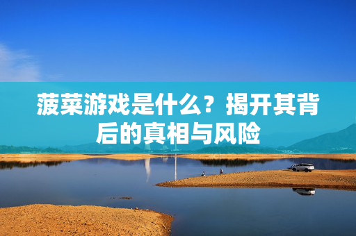 菠菜游戏是什么？揭开其背后的真相与风险