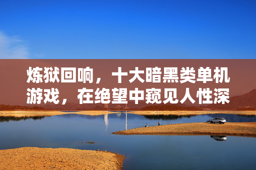 炼狱回响，十大暗黑类单机游戏，在绝望中窥见人性深渊