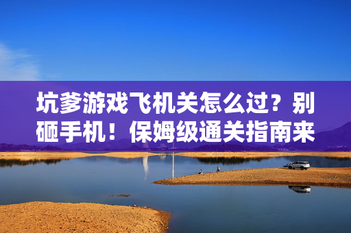 坑爹游戏飞机关怎么过？别砸手机！保姆级通关指南来了