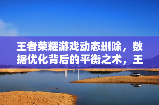 王者荣耀游戏动态删除，数据优化背后的平衡之术，王者荣耀动态删除与数据优化背后的平衡之术