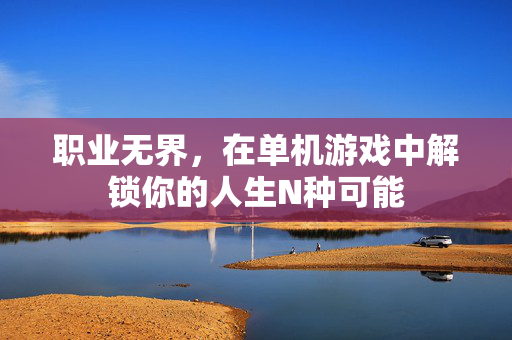 职业无界，在单机游戏中解锁你的人生N种可能