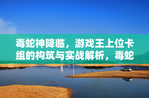 毒蛇神降临，游戏王上位卡组的构筑与实战解析，毒蛇神降临，游戏王上位卡组构筑与实战解析