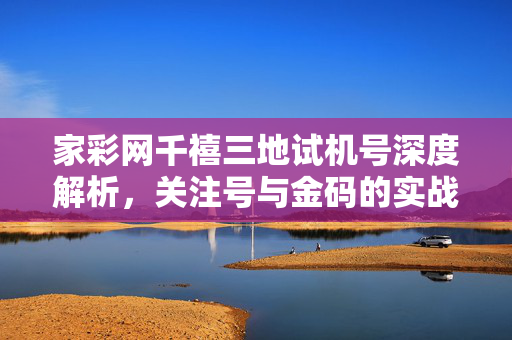 家彩网千禧三地试机号深度解析，关注号与金码的实战价值，家彩网千禧三地试机号深度解析，关注号与金码的实战价值