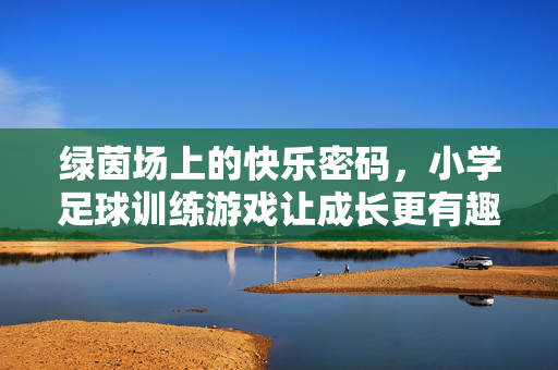 绿茵场上的快乐密码，小学足球训练游戏让成长更有趣