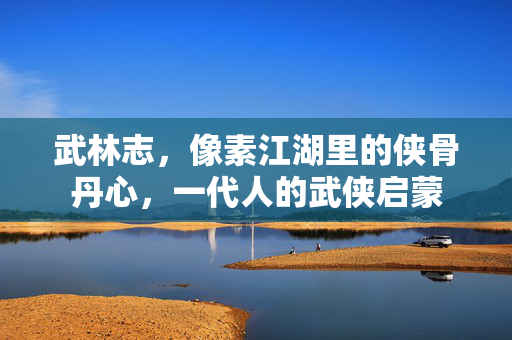 武林志，像素江湖里的侠骨丹心，一代人的武侠启蒙