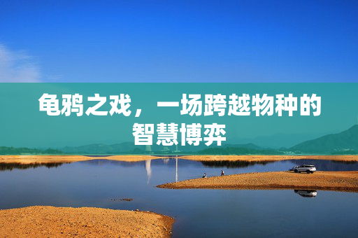龟鸦之戏，一场跨越物种的智慧博弈