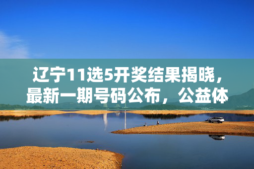 辽宁11选5开奖结果揭晓，最新一期号码公布，公益体彩与你同行