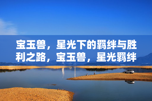 宝玉兽，星光下的羁绊与胜利之路，宝玉兽，星光羁绊与胜利之路