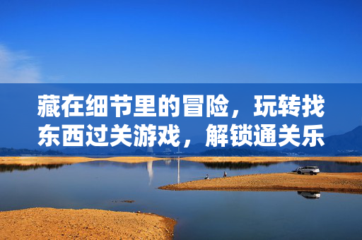 藏在细节里的冒险，玩转找东西过关游戏，解锁通关乐趣，细节里的冒险，玩转找东西过关乐趣