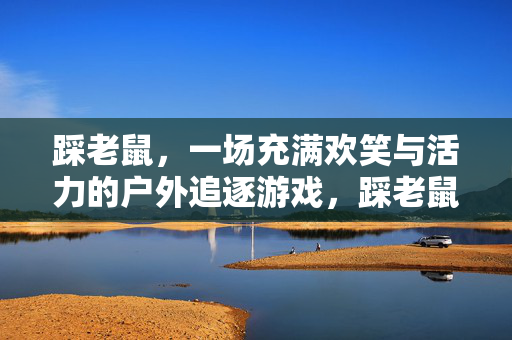 踩老鼠，一场充满欢笑与活力的户外追逐游戏，踩老鼠，欢笑活力的户外追逐