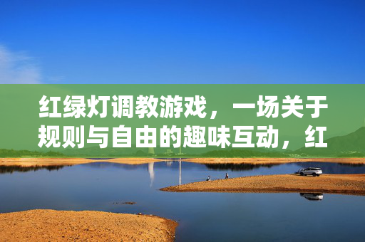 红绿灯调教游戏，一场关于规则与自由的趣味互动，红绿灯调教游戏，规则与自由的趣味互动