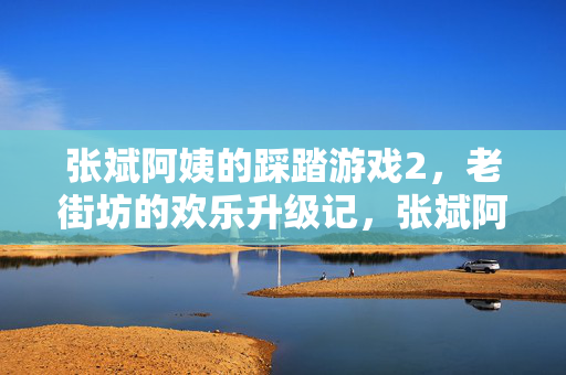 张斌阿姨的踩踏游戏2，老街坊的欢乐升级记，张斌阿姨踩踏游戏2，老街坊欢乐升级记