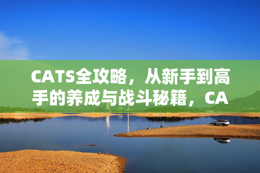 CATS全攻略，从新手到高手的养成与战斗秘籍，CATS新手到高手养成战斗全攻略