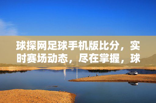 球探网足球手机版比分，实时赛场动态，尽在掌握，球探网足球手机版，实时比分与赛场动态尽在掌握