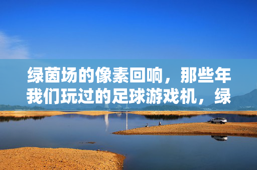 绿茵场的像素回响，那些年我们玩过的足球游戏机，绿茵场的像素回响，那些年的足球游戏机
