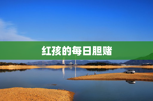 红孩的每日胆赌