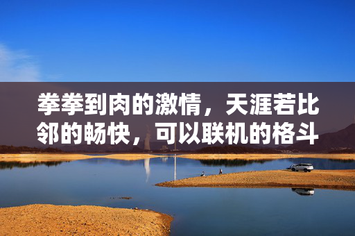 拳拳到肉的激情，天涯若比邻的畅快，可以联机的格斗游戏全体验，拳拳到肉，联机畅快，格斗游戏全体验