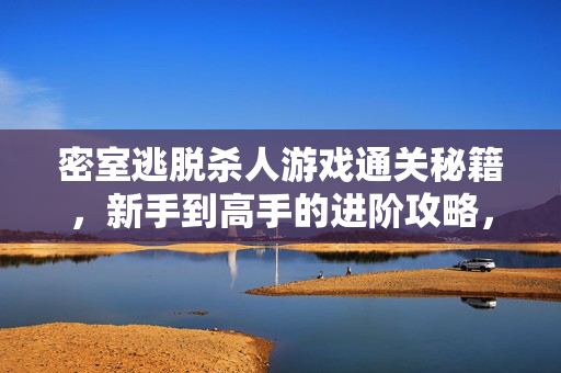 密室逃脱杀人游戏通关秘籍，新手到高手的进阶攻略，密室逃脱杀人游戏新手进阶通关秘籍