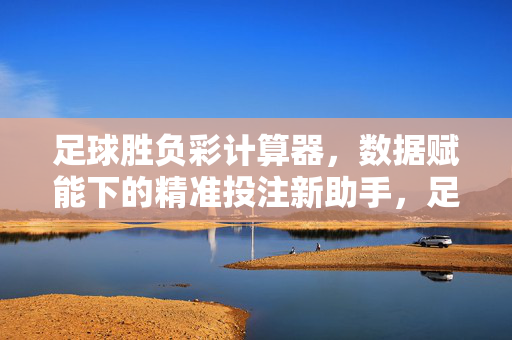 足球胜负彩计算器，数据赋能下的精准投注新助手，足球胜负彩计算器，数据驱动的精准投注助手