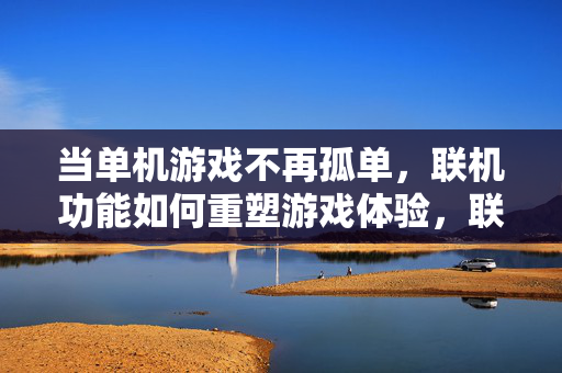 当单机游戏不再孤单，联机功能如何重塑游戏体验，联机功能，单机游戏不再孤单的体验重塑